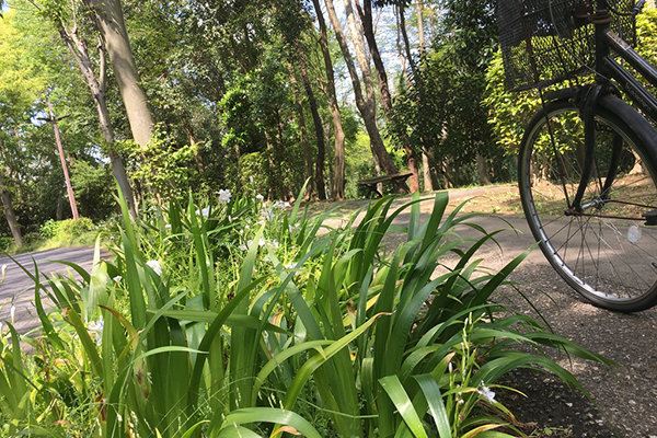 自転車で走り回る