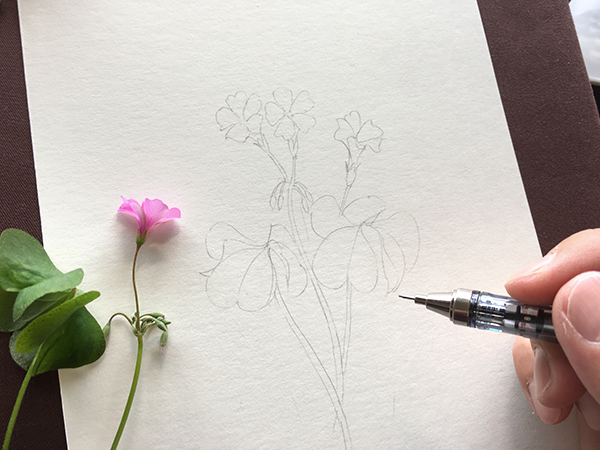 花の形がとれました