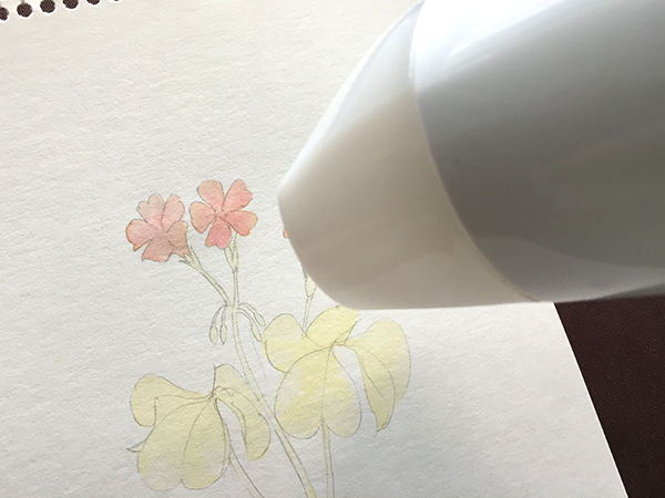 ドライヤーで乾かす