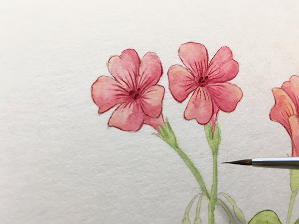 簡単な花の描き方 水彩画メイキング カリグラフィーレシピ