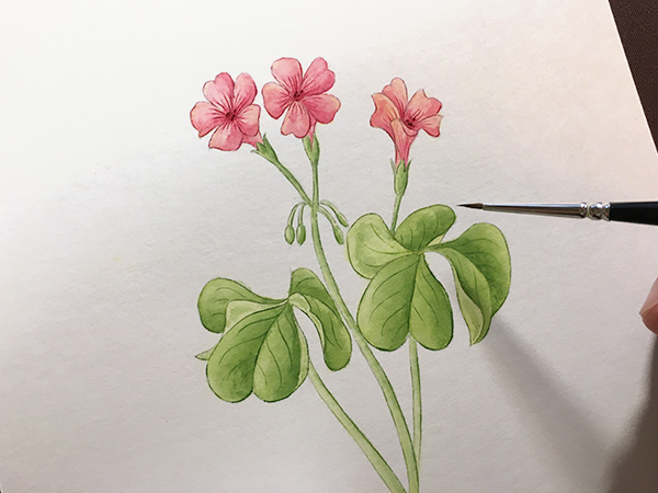 簡単な花の描き方 水彩画メイキング カリグラフィーレシピ