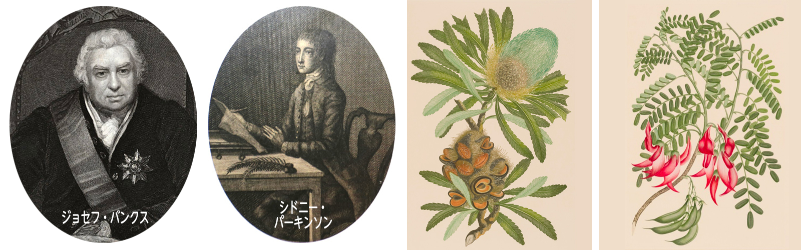 植物学者や画家が化学班として船に乗船していた