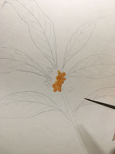 ひとつずつゆっくり描いていく