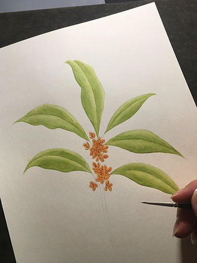 葉の大まかな雰囲気が描けた