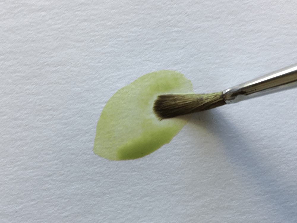薄いグリーンでオリーブの実を描く