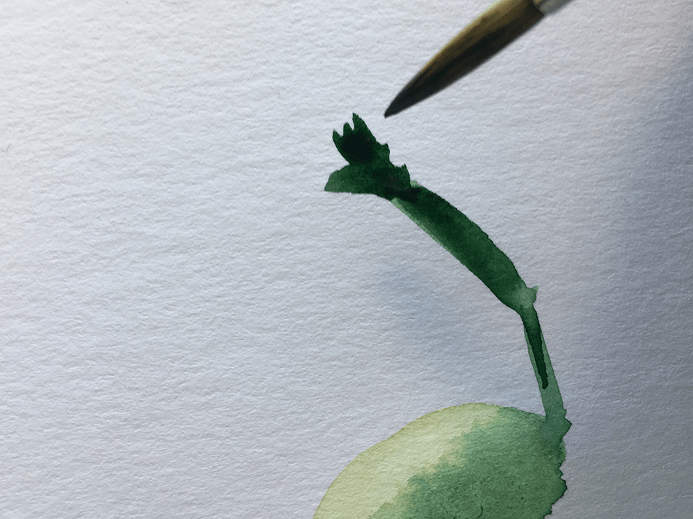 茎を描きながら先端の葉っぱの根本部分まで描く