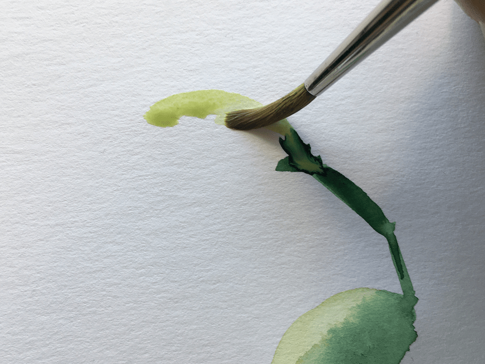 薄いグリーンで葉の本体を描く
