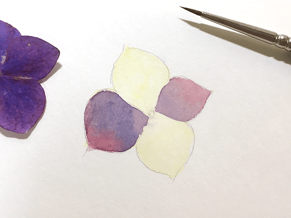 反対側の花びらを塗る