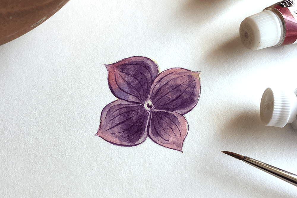 透明水彩メイキング「紫陽花の花びら」の描き方