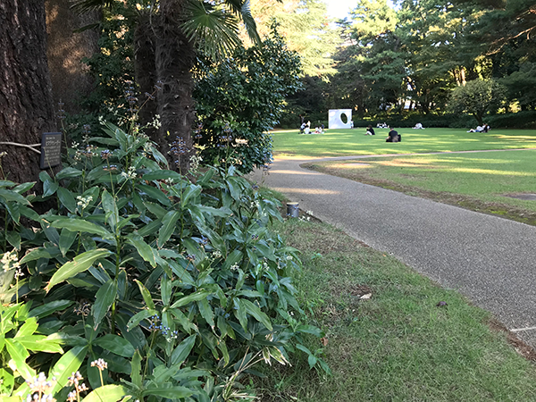 美術館の中庭