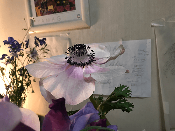 植物の脈を把握するためにできれば実物を手元に用意したい