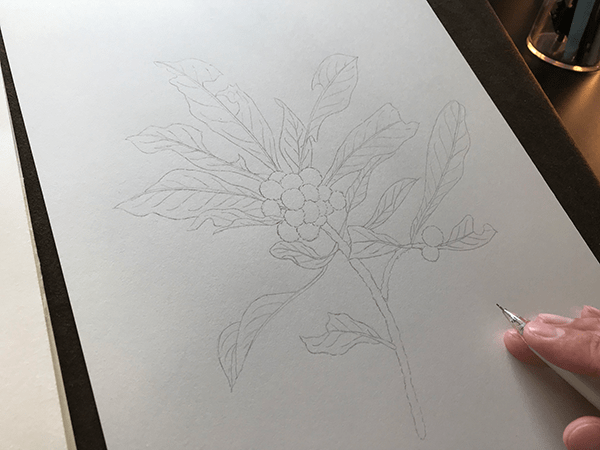 シャープペンで線を綺麗に描き直す
