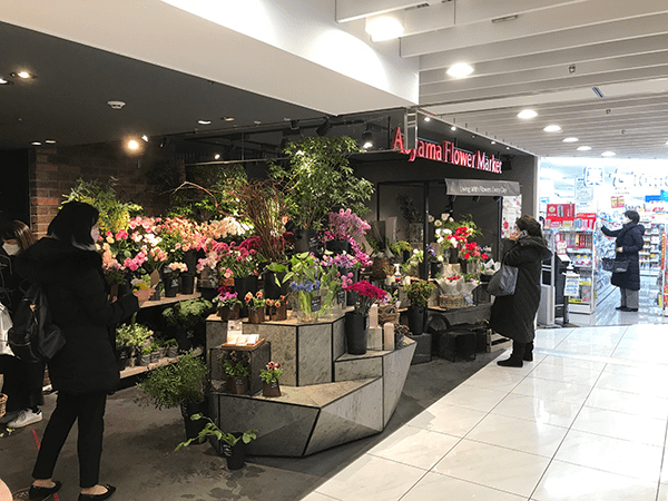 青山フラワーマーケット・綺麗な植物画たくさん売ってます