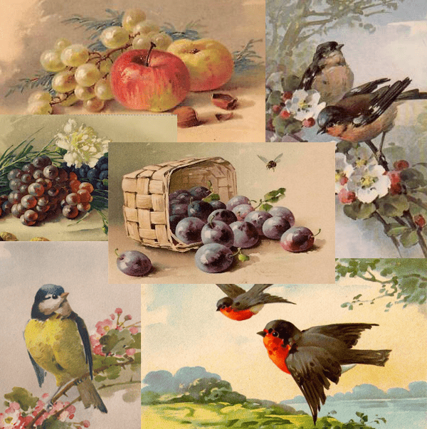 鳥や静物など、自然物を写実的に描く 筆に迷いがなく描くスピードも早かったのではないかと推察される