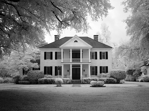 モリスの幼少期